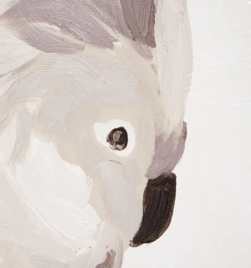 Cockatoo Portrait | Neutral