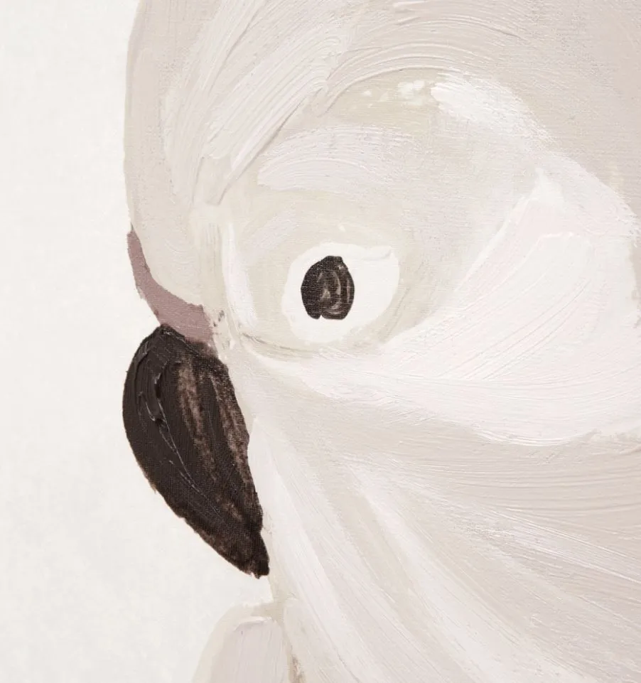 Cockatoo Portrait | Neutral