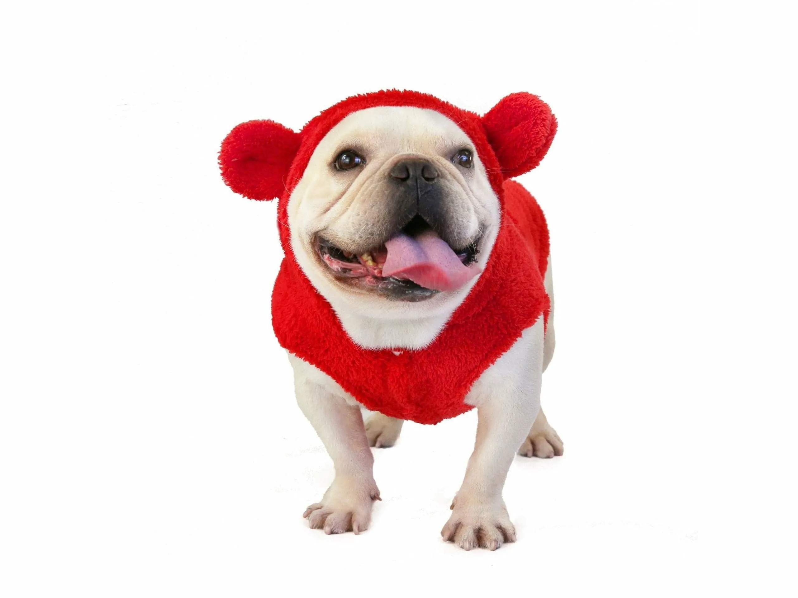 dog clothes Red M KLN-1726